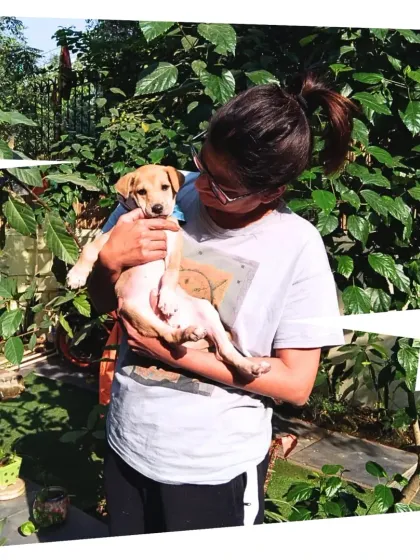 A playful lift for Bo Peep from Vizal. These happy, personal interactions are a core part of the PetSpot experience.