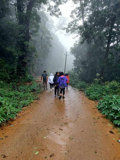 A group of trekkers walking down a wet, leafy path during a monsoon trip. This is what getting closer to nature looks like.