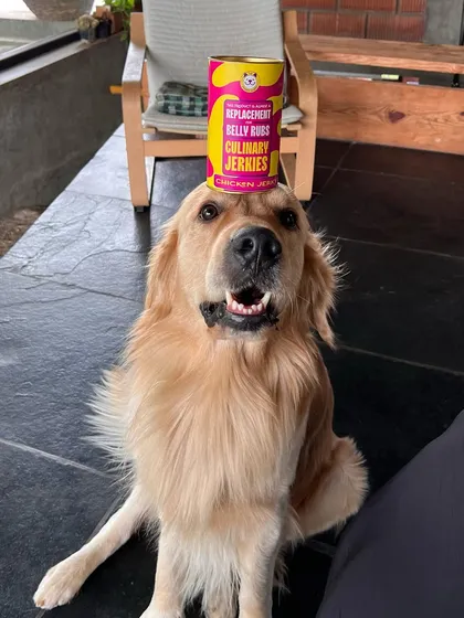 The ultimate test of patience! This good boy is showing off his balancing skills with a can of my Chicken Jerky. It’s a treat worth waiting for.
