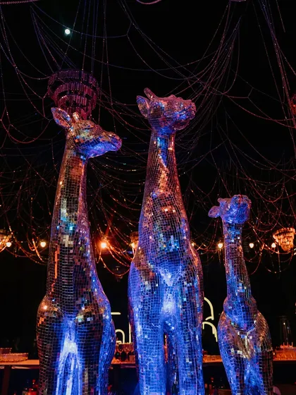 A family of disco-ball giraffes stands tall, adding a quirky and glamorous touch to this Sangeet night. We love incorporating unexpected elements that become conversation starters.