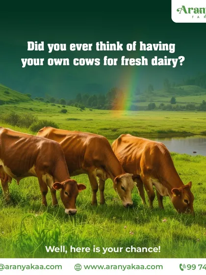 Have you ever thought of having your own cows for fresh, pure dairy? At Aranyakaa Farms, we give you that chance, bringing you closer to nature's simplest and most wholesome joys.