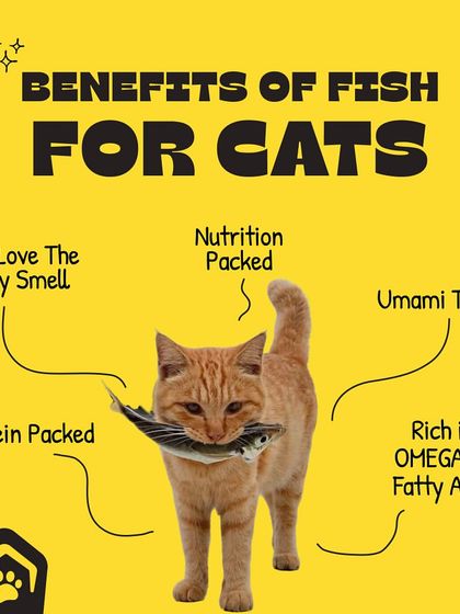 Pet Warehouse - Pet Supplies Food & Treats For Every Pet photo 8