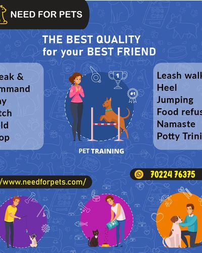 Pet Training