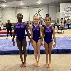 Fun & Fitness - Gymnastics & Tumbling Programs Our Champion Girls Teams photo 68