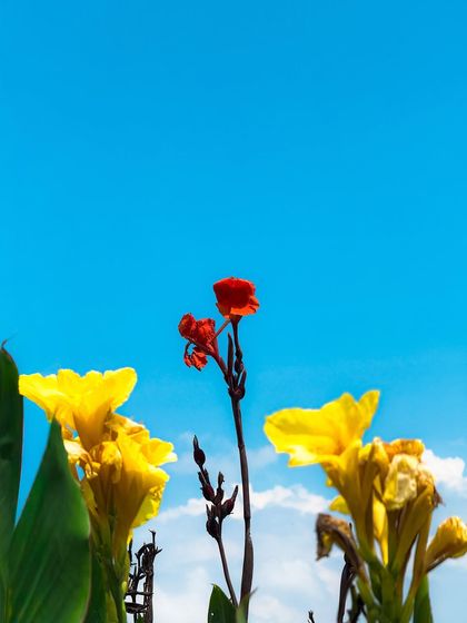 Garima Bhaskar - Photo & Video Editing Presets Aqua: Moody Blues & Greens for Travel photo 26