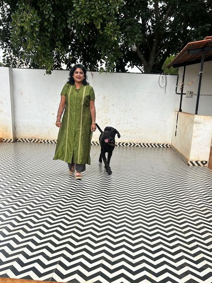 Star Pups - Pet Boarding & Daycare Additional Work & Moments photo 18