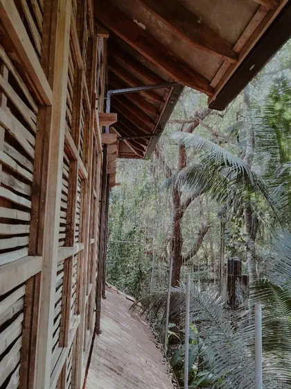 The exterior walkway of the cottage, which is nestled so closely into the jungle that it feels like a part of the forest.