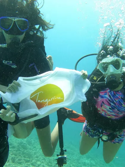 We take our practice everywhere, even underwater. On our Yoga & Dive retreats in Lakshadweep, we explore both the world within and the vibrant world beneath the waves. It's a unique journey of breath and discovery.
