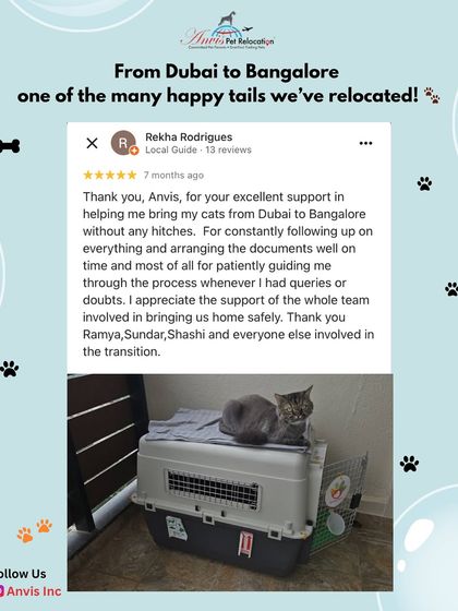 Anvis - Pet Relocation Happy Reunions & Client Stories photo 6