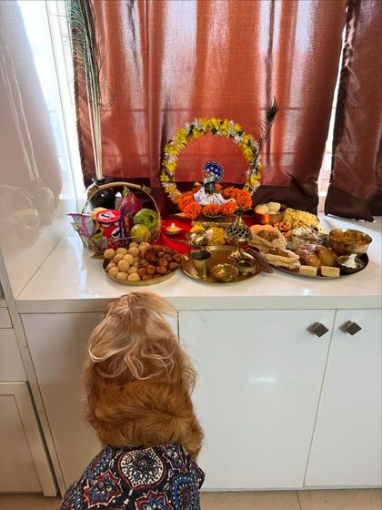 Posto taking his blessings during our first Janmashtami celebration with baby Shlok (Pablo).