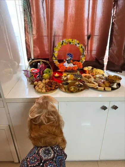 Posto admiring the beautiful Janmashtami prasad spread. He's probably eyeing the dog-friendly treats.