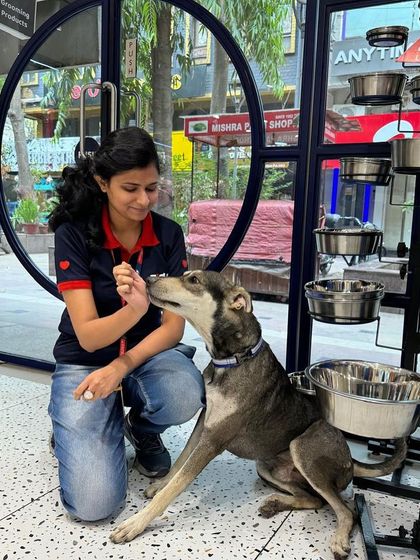 Zigly - Veterinary Services For the Love of All Animals: Community & Rescue Work photo 7