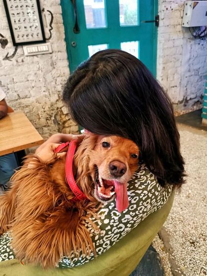 A happy hug for a happy dog. The smiles are infectious here at Bark Street.