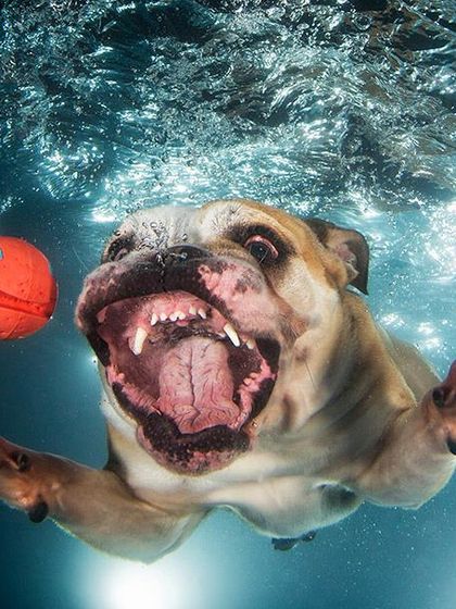 Creative Concepts: Underwater Adventures photo 37