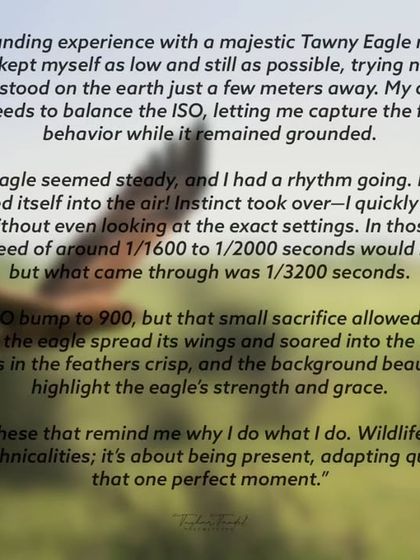 Avian Portraits: The Birds of India photo 57