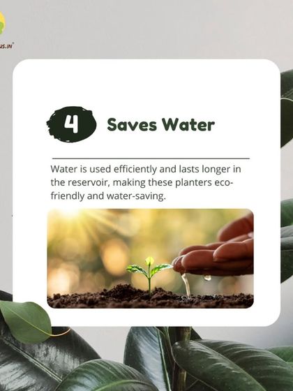 Treemendous - Interior & Exterior Plantscaping The Magic of Self-Watering Planters photo 7