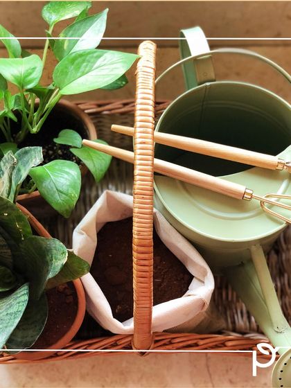 Garden Inspiration & Ideas photo 6