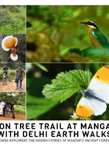 Moments From Our Walks photo 6