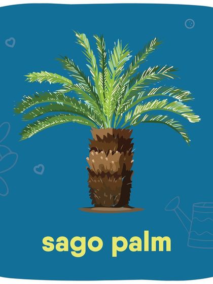 Did you know plants like Lilies, Aloe Vera, Jade Plants, and English Ivy are toxic to pets? This guide shows some common houseplants to keep away from your furry botanists.