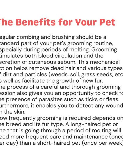 Woofly - Home Veterinary Services Coat & Skin Care photo 10