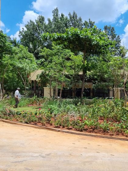 A wider view of the Legacy Cirocco site during planting, showing the layering of shrubs, grasses, and trees.