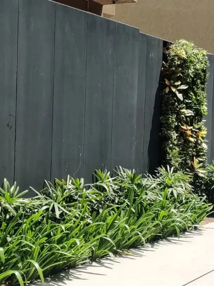 The clean, linear design of a modern boundary wall with integrated planters and a vertical garden. This approach turns a simple perimeter into a sophisticated landscape feature.