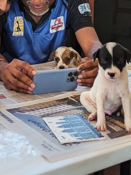 It's not just about the main event. It's about the small, unforgettable moments, like this participant capturing a picture of a curious puppy during our art session. Every interaction helps a shelter animal feel loved.