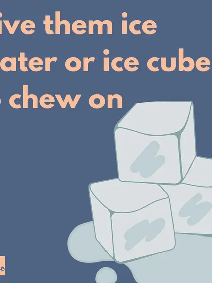 A simple way to help your dog cool down is to give them ice cubes to chew on or add some to their water bowl.
