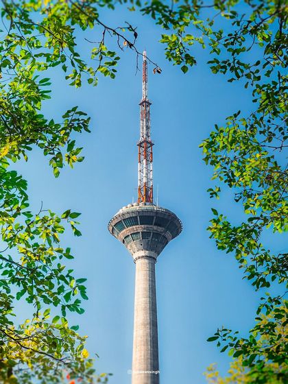 The Pitampura TV Tower in Delhi, framed by lush green leaves. This shot finds a natural frame for an urban landmark, blending nature and city architecture.
