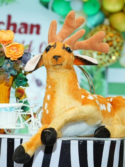 Dream Events - Kids' Birthday Party Decoration Jungle & Safari Adventures photo 14