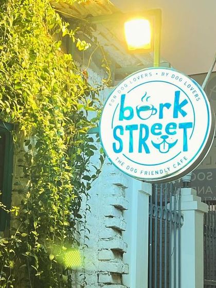 A shot of our welcoming entrance at night. The glowing sign and lush greenery invite you into our little haven.