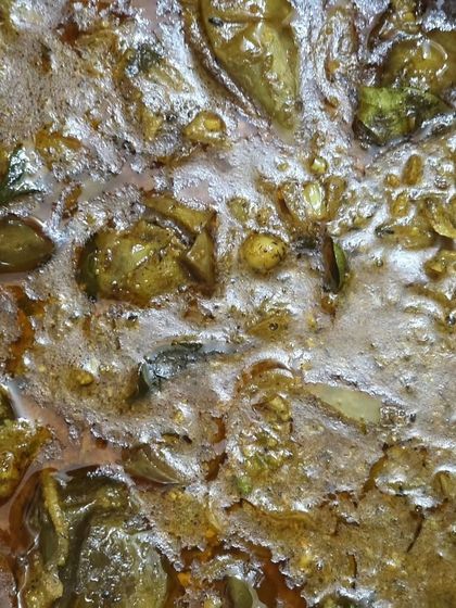 A Taste of Our Vegetarian Cuisine photo 10