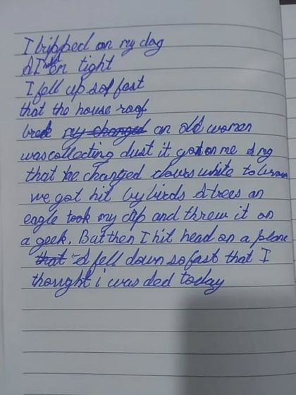 This is the wildly imaginative poem written by the same student who thought poetry was boring. After just one session, he was inspired to write about tripping on his dog and falling up into the sky.