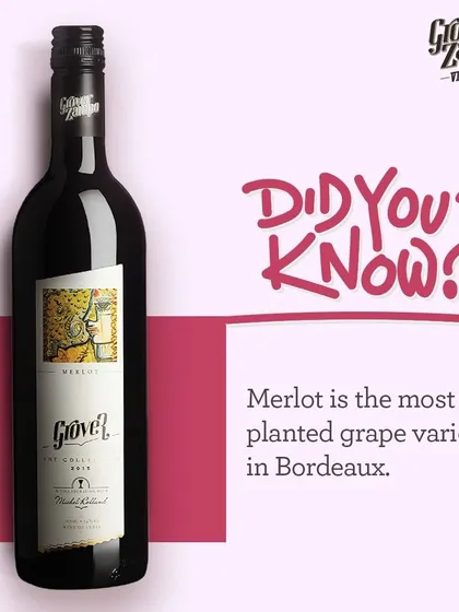 Did you know that Merlot is the most planted grape variety in Bordeaux, France? When you sip our Art Collection Merlot, you are enjoying a truly world-class wine.