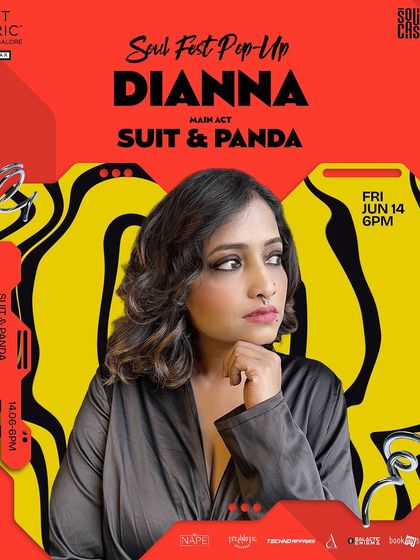 Dianna - Live DJ Performance Soul Fest: My Community Project photo 5