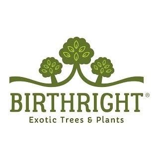Birthright