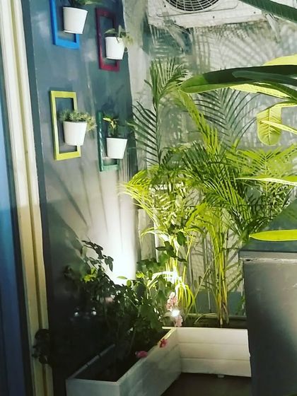 This small balcony corner is brought to life with colorful wall-mounted frames for planters and lush greenery in floor planters.