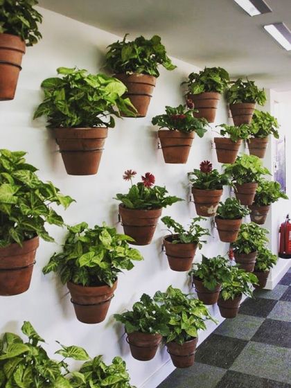 A simple and effective way to create a green wall is by arranging classic terracotta pots. I used hidden wall mounts to hang these pots in a dense, organic pattern, filling the hallway with vibrant plant life.