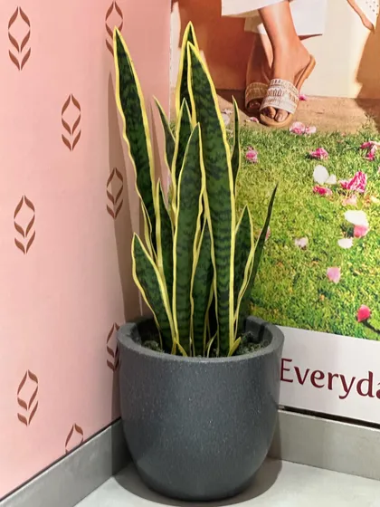 An artificial Snake Plant in a modern grey planter. This is a designer's dream, providing the sleek, architectural look of the real plant with zero maintenance.