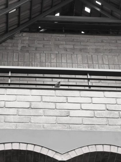 Design Kacheri - Residential Architecture Earthy & Eco-Conscious Homes photo 28