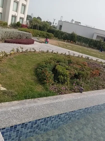 A poolside area at a hotel or resort in Gorakhpur that we landscaped. The design includes gentle mounds, mixed flower beds, and pathways for a relaxed, natural feel.