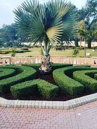 Garden & Lawn Maintenance