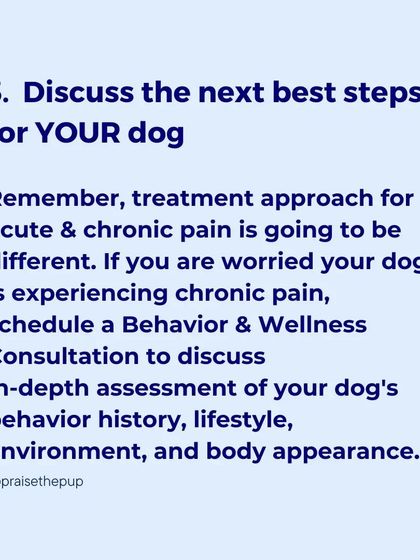 Every dog's pain management plan should be individualized. Discussing your dog's history, lifestyle, and specific symptoms with a professional is the best way to determine the right course of action.