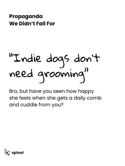 One of the biggest myths we hear is that Indie dogs don't need grooming. Real talk: every dog benefits from regular care. A daily comb and a good bath not only keep their coat healthy but also strengthen your bond.