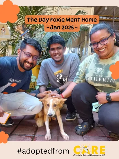 The moment it all becomes worth it. This is the day Foxie went home with her new family. Every adoption opens up a space at our shelter for another animal in need and creates a new, loving family.