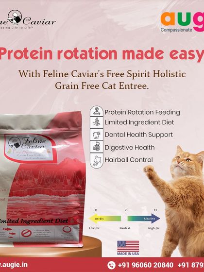 Augie Pets - Pet Supplies For Our Feline Friends: Premium Cat Nutrition photo 41