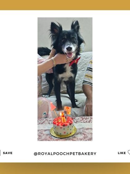 A beautiful moment from Coco's birthday. A custom cake makes the celebration feel complete and honors the special place they hold in our hearts.