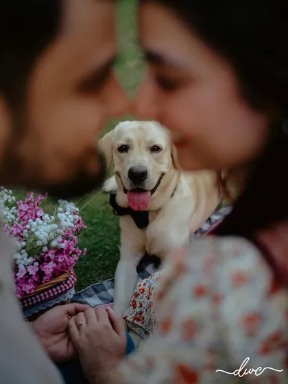 A creative and heartwarming pre-wedding photo, where the couple's dog steals the show, perfectly framed between their loving gaze.