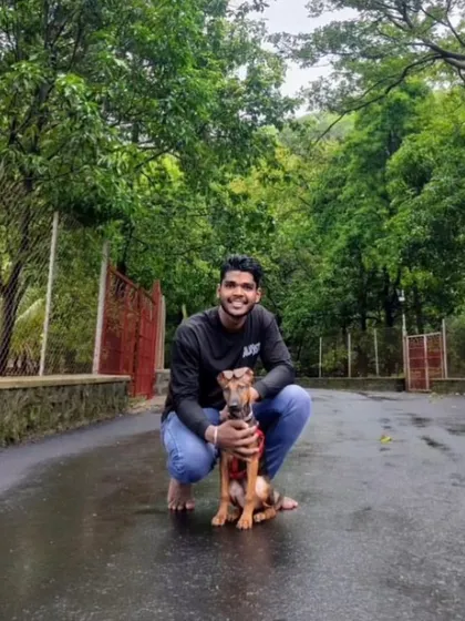 And finally, Mojo, the last of the box puppies, is now home. He's already going on bike road trips with his new dad! I'm so incredibly happy that all six of these special puppies have found their perfect families.