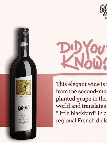 Did you know our elegant Merlot is made from the 'little blackbird' grape? It is the second-most planted grape in the world, and this wine is an unforgettable indulgence for all wine lovers.